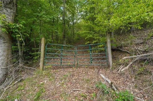 000 Auraria Road Dahlonega, GA 30533