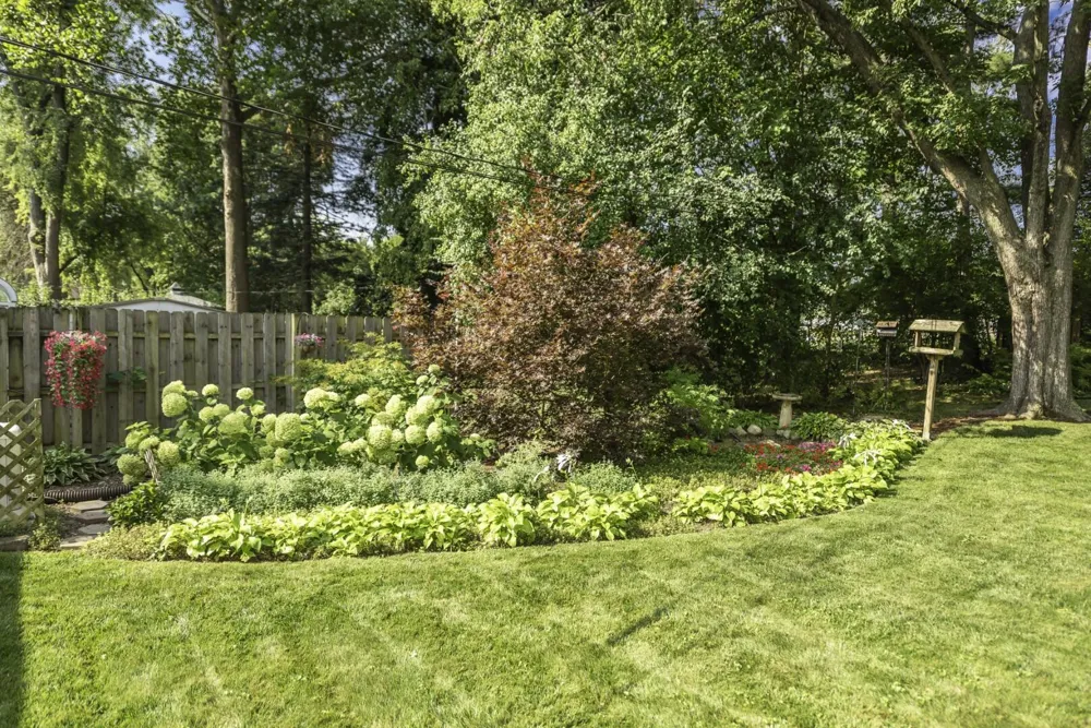 765 Mansfield Street Ypsilanti, MI 48197