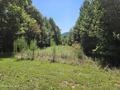 Lot 69 Collins Court