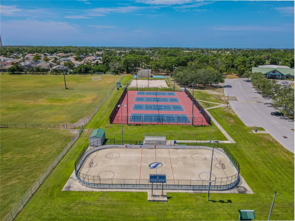 3029 JACOB CROSSING LANE Holiday, FL 34691