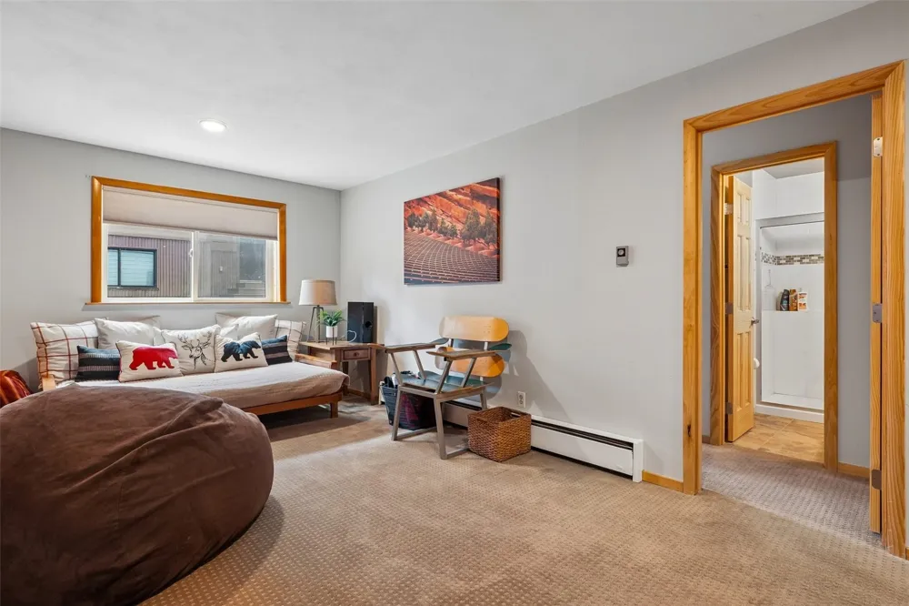 309 Creekside Drive Frisco, CO 80443