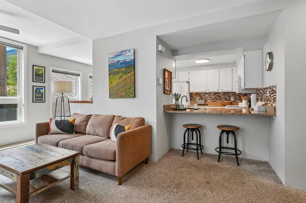 309 Creekside Drive Frisco, CO 80443