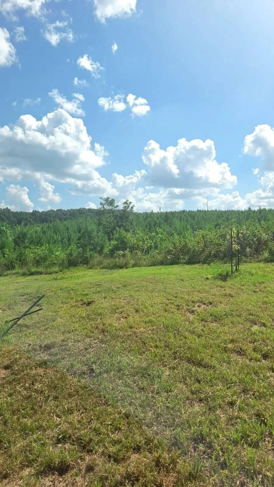 8971 Fredonia Road Dunlap, TN 37327