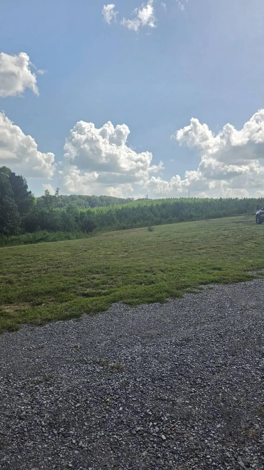8971 Fredonia Road Dunlap, TN 37327