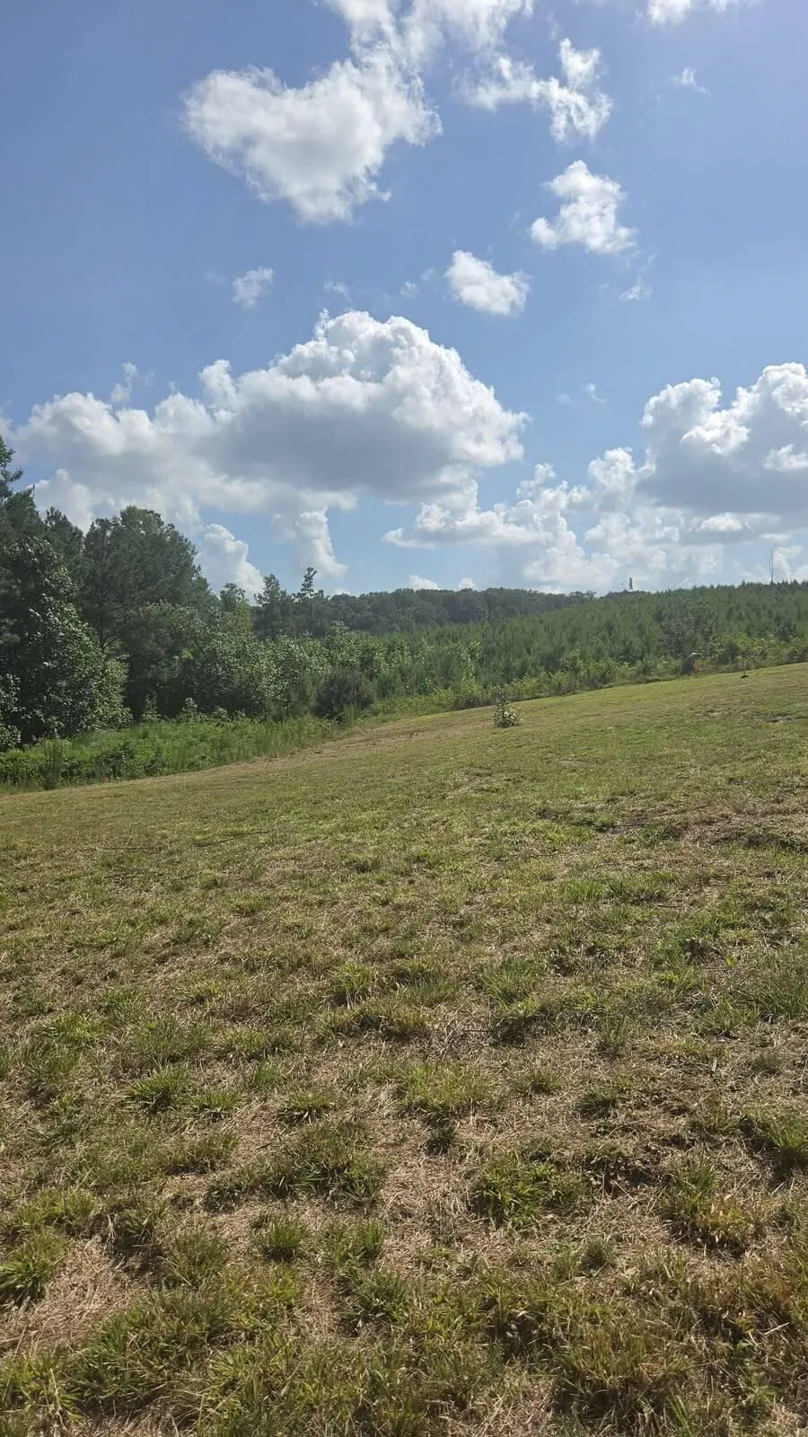 8971 Fredonia Road Dunlap, TN 37327