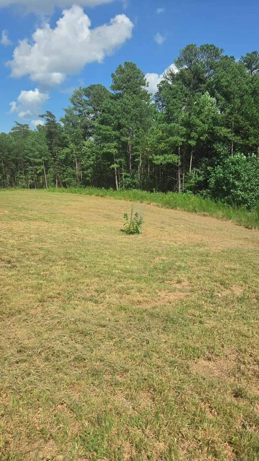 8971 Fredonia Road Dunlap, TN 37327