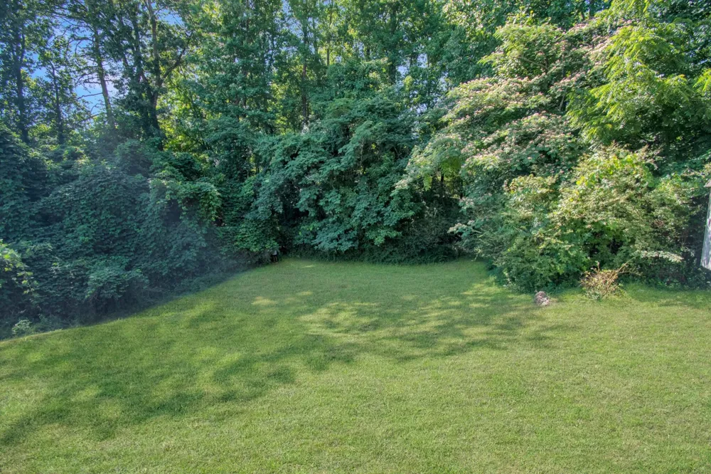 503 Martin Luther King Junior Drive Rockwood, TN 37854