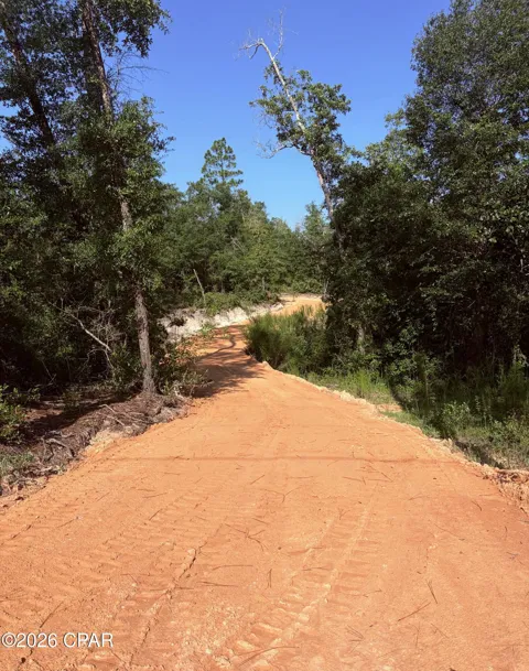 Blue Springs Road