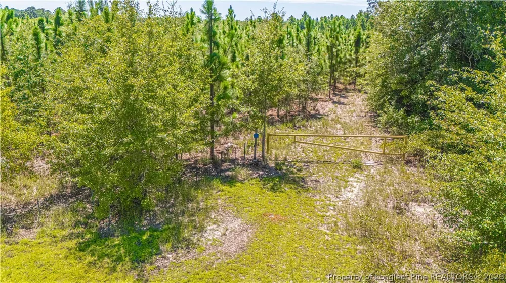 Blue Springs Road Red Springs, NC 28377
