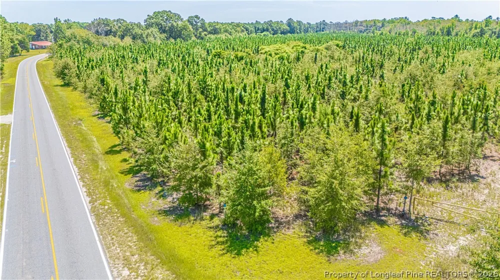 Blue Springs Road Red Springs, NC 28377
