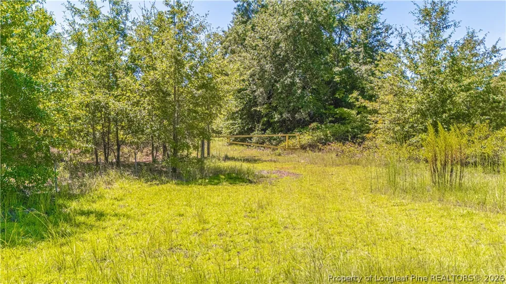 Blue Springs Road Red Springs, NC 28377
