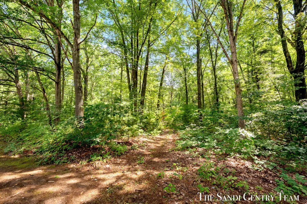 4536 Dalson Road Cedar Creek Township, MI 49457