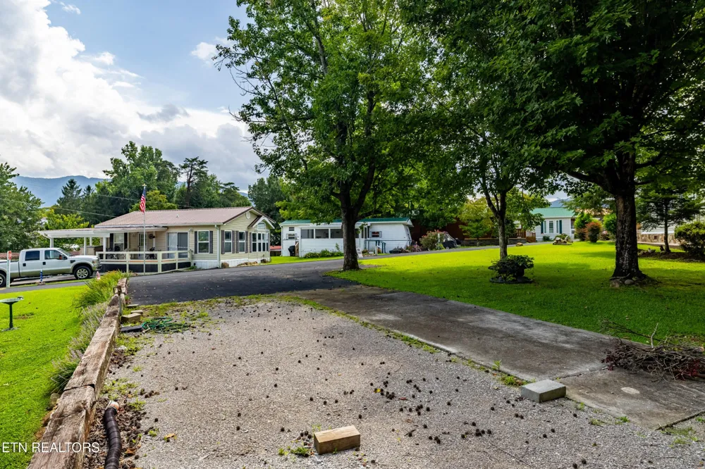 449 Mountain Thrush Drive Townsend, TN 37882