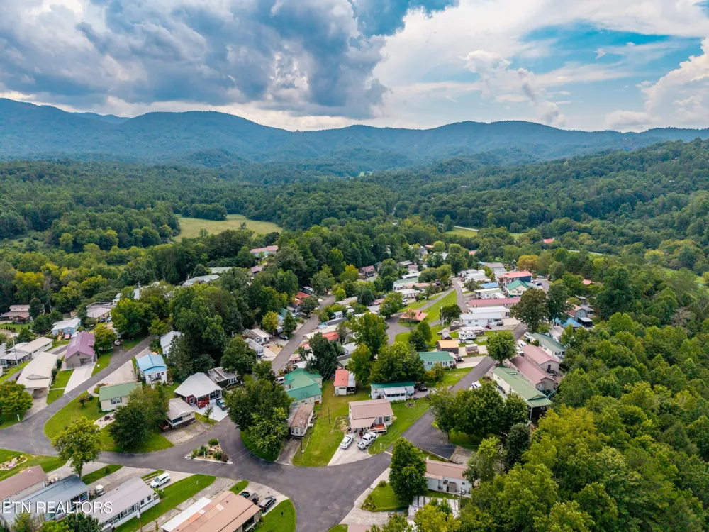 449 Mountain Thrush Drive Townsend, TN 37882