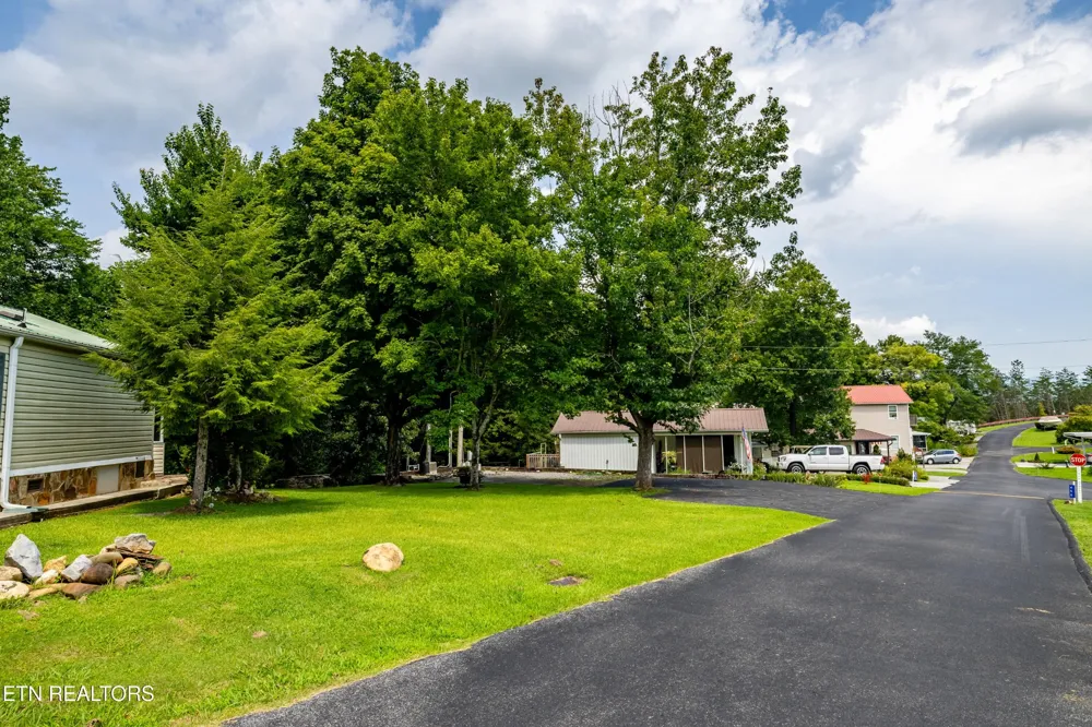 449 Mountain Thrush Drive Townsend, TN 37882