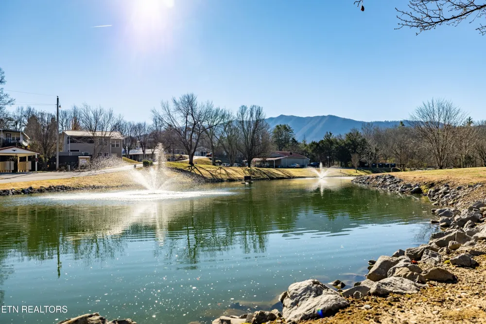 449 Mountain Thrush Drive Townsend, TN 37882