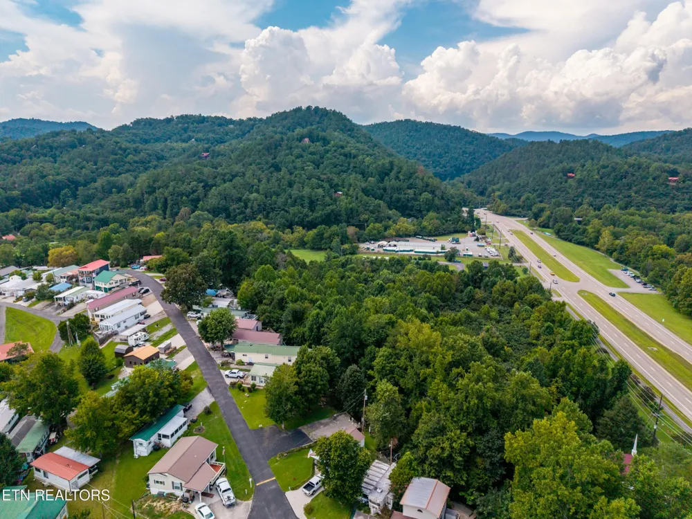 449 Mountain Thrush Drive Townsend, TN 37882