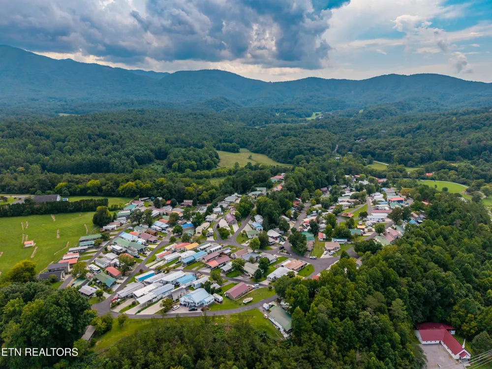 449 Mountain Thrush Drive Townsend, TN 37882