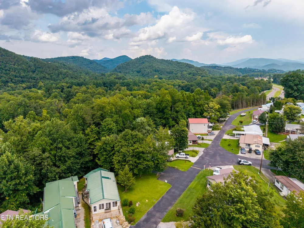 449 Mountain Thrush Drive Townsend, TN 37882