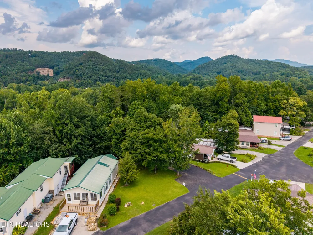 449 Mountain Thrush Drive Townsend, TN 37882