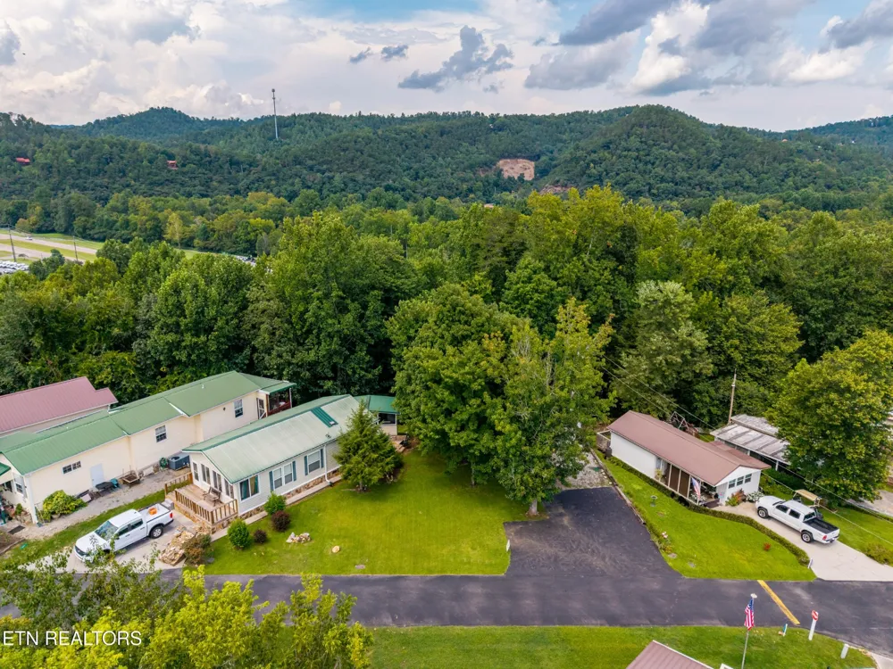 449 Mountain Thrush Drive Townsend, TN 37882