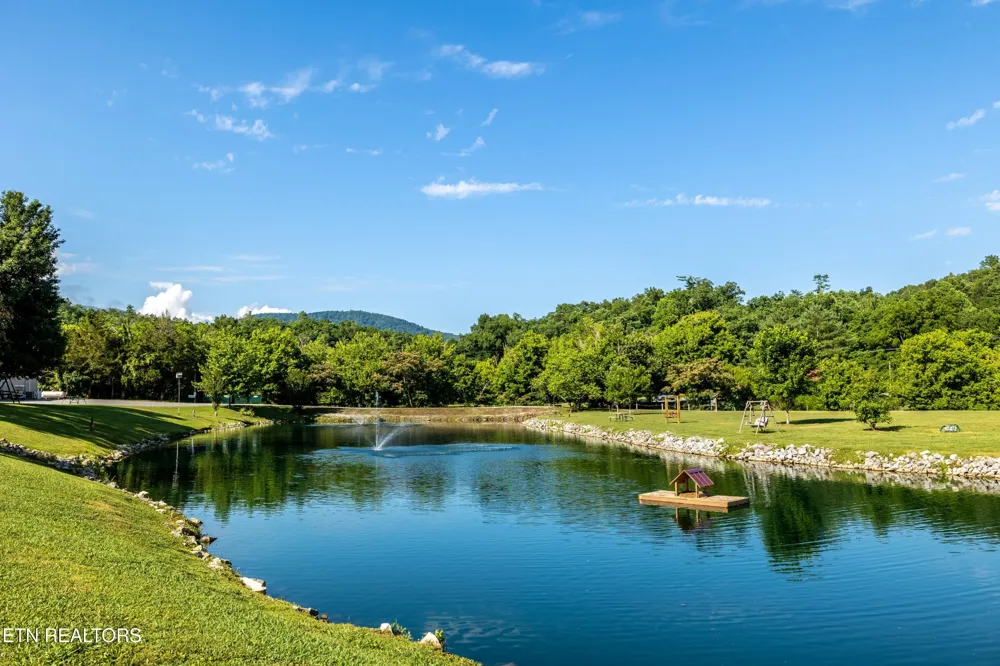 449 Mountain Thrush Drive Townsend, TN 37882