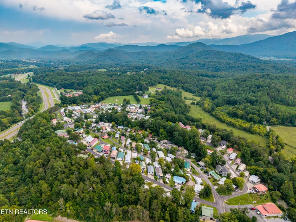 449 Mountain Thrush Drive Townsend, TN 37882