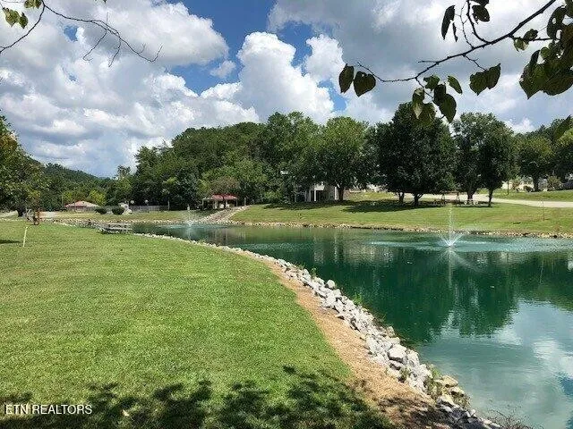 449 Mountain Thrush Drive Townsend, TN 37882
