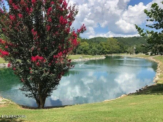 449 Mountain Thrush Drive Townsend, TN 37882