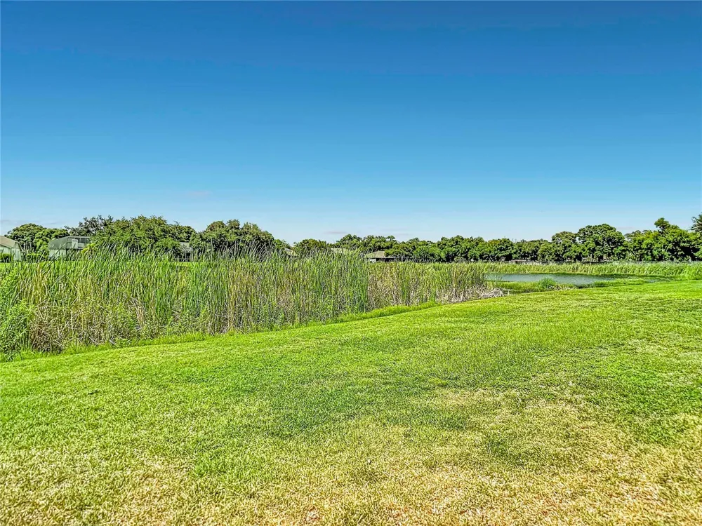 8511 NORTHTON GROVES BOULEVARD Odessa, FL 33556