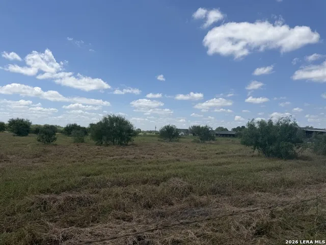 2118 CR 421 Stockdale, TX 78160