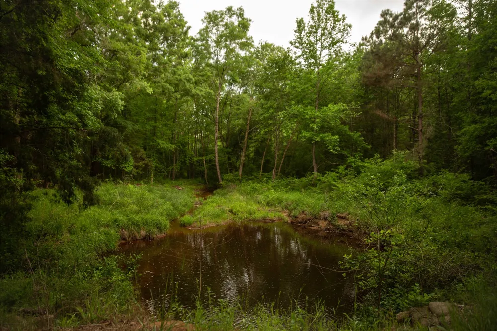 945 FM 130 Linden, TX 75563