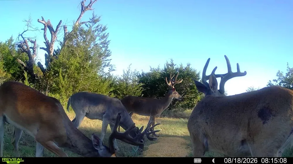 15779 County Road 478 May, TX 76857