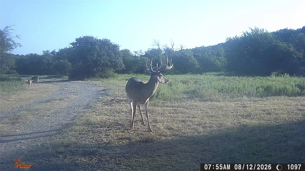15779 County Road 478 May, TX 76857
