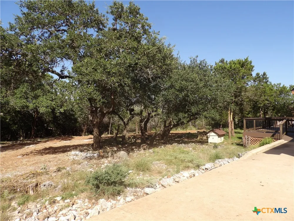 204 Falling Hills New Braunfels, TX 78132