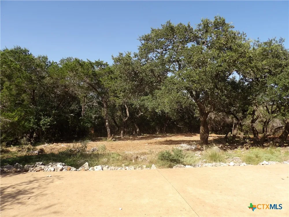 204 Falling Hills New Braunfels, TX 78132