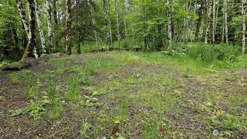 136 Peppermill Drive Kelso, WA 98626