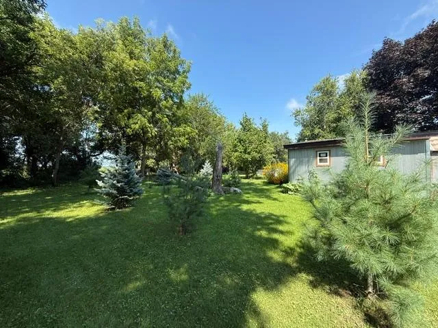 205 Main Street Belview, MN 56214