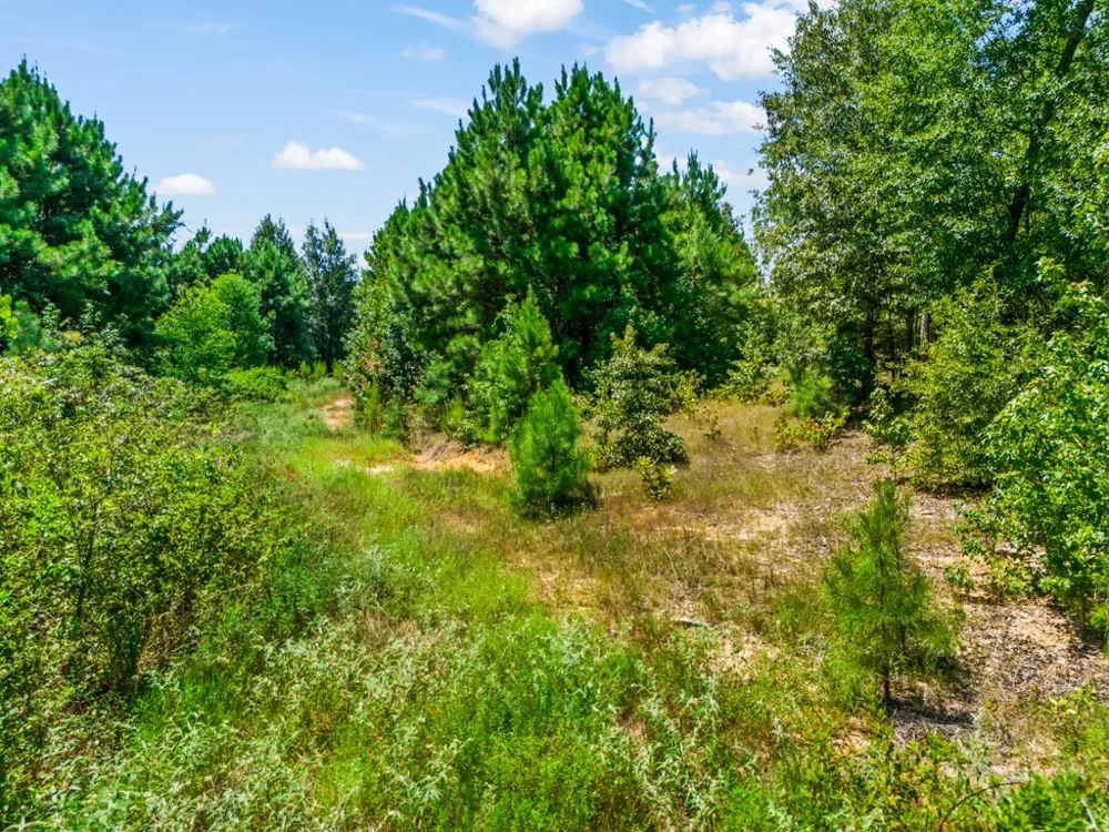 US Hwy 259 N Ore City, TX 75683
