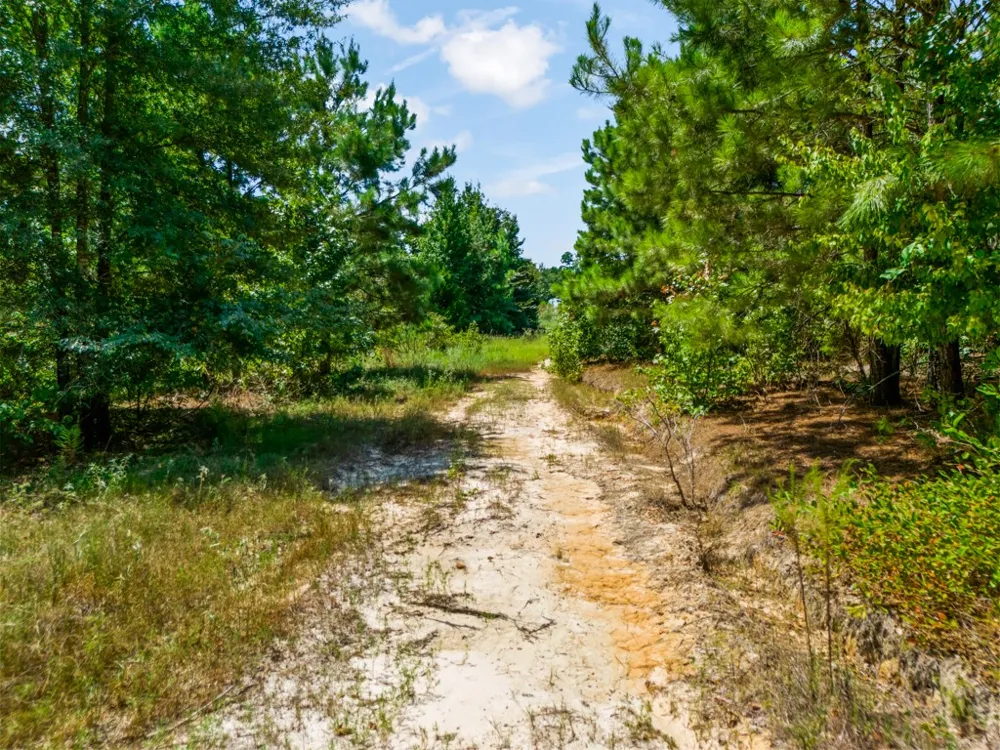 US Hwy 259 N Ore City, TX 75683