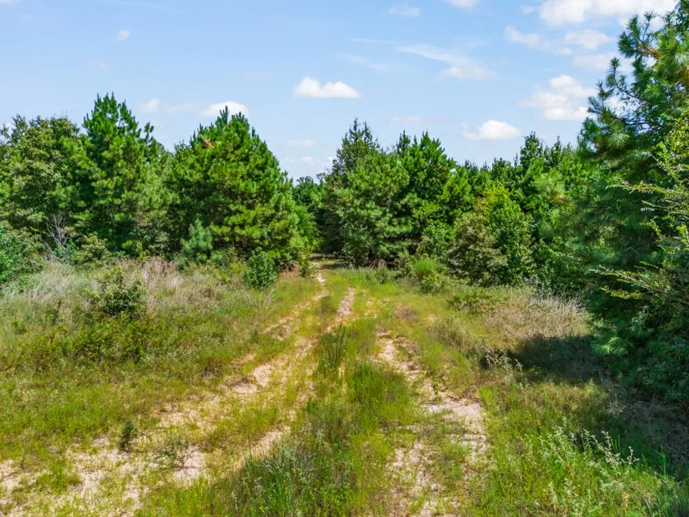 US Hwy 259 N Ore City, TX 75683