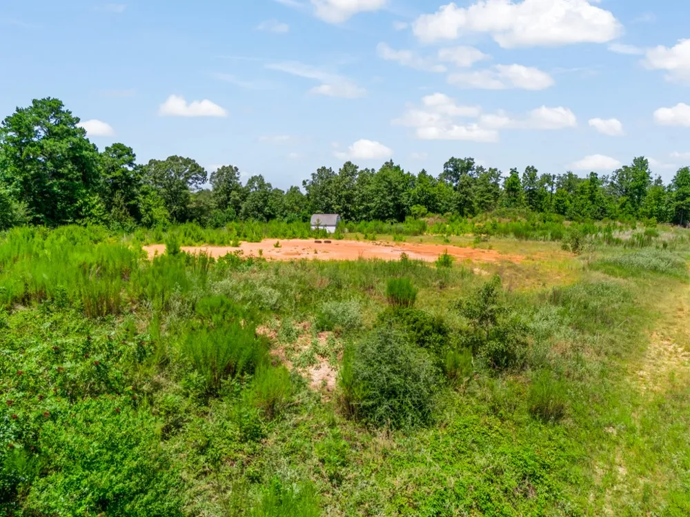 US Hwy 259 N Ore City, TX 75683