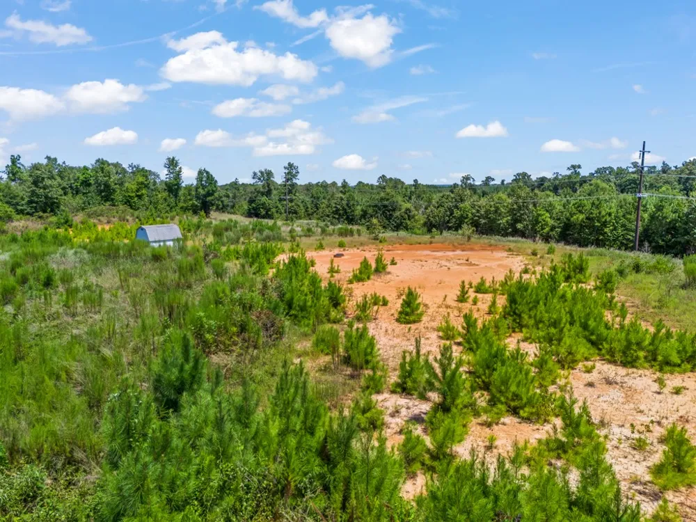 US Hwy 259 N Ore City, TX 75683