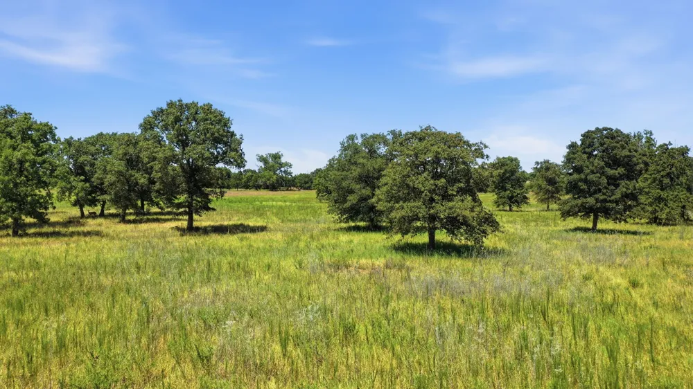 CR 475 #Tract 2 De Leon, TX 76444