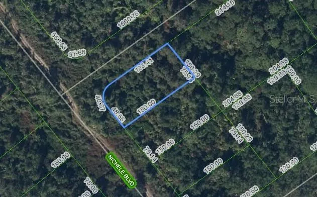 457 NICHELE BOULEVARD Lake Placid, FL 33852
