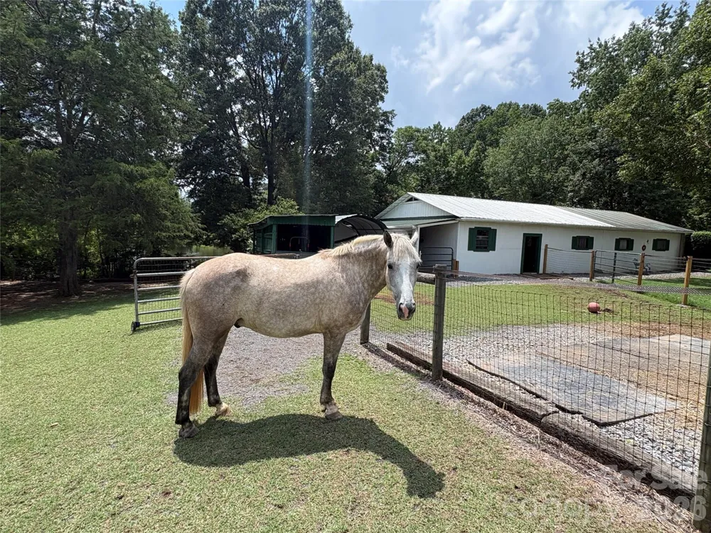 4904 Willow Pond Road Clover, SC 29710