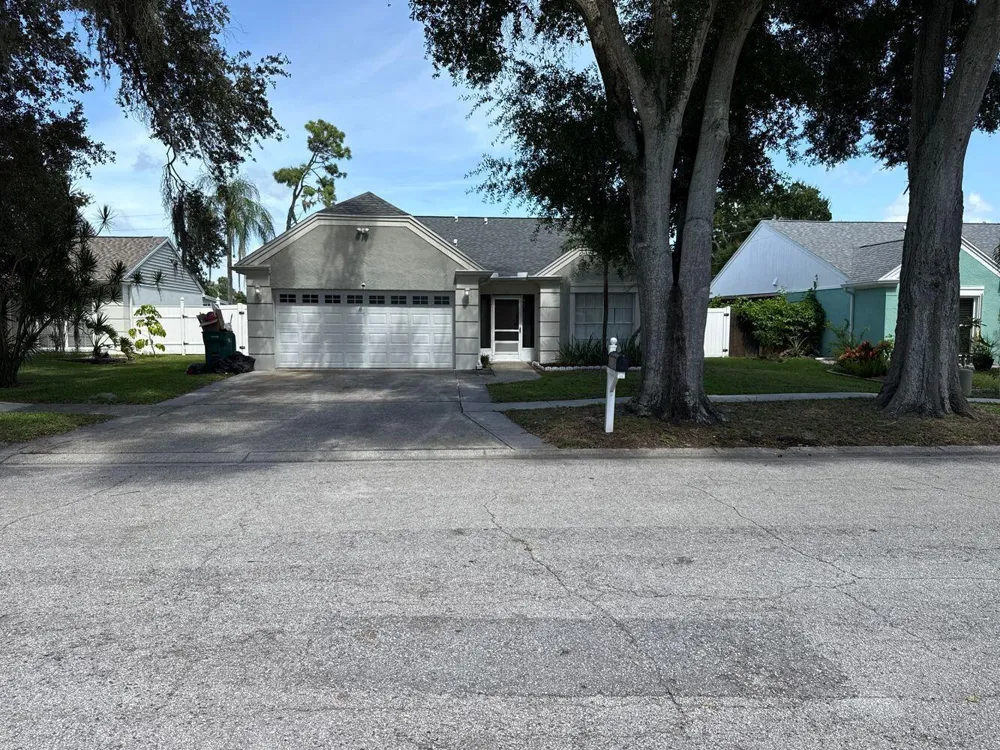 3363 MARION DRIVE Palm Harbor, FL 34684