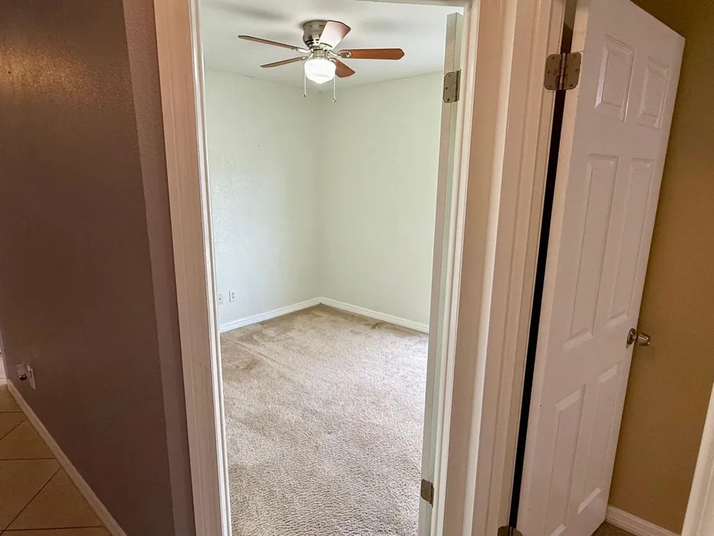 3363 MARION DRIVE Palm Harbor, FL 34684
