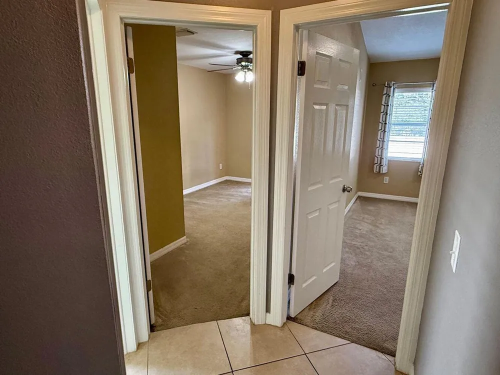 3363 MARION DRIVE Palm Harbor, FL 34684