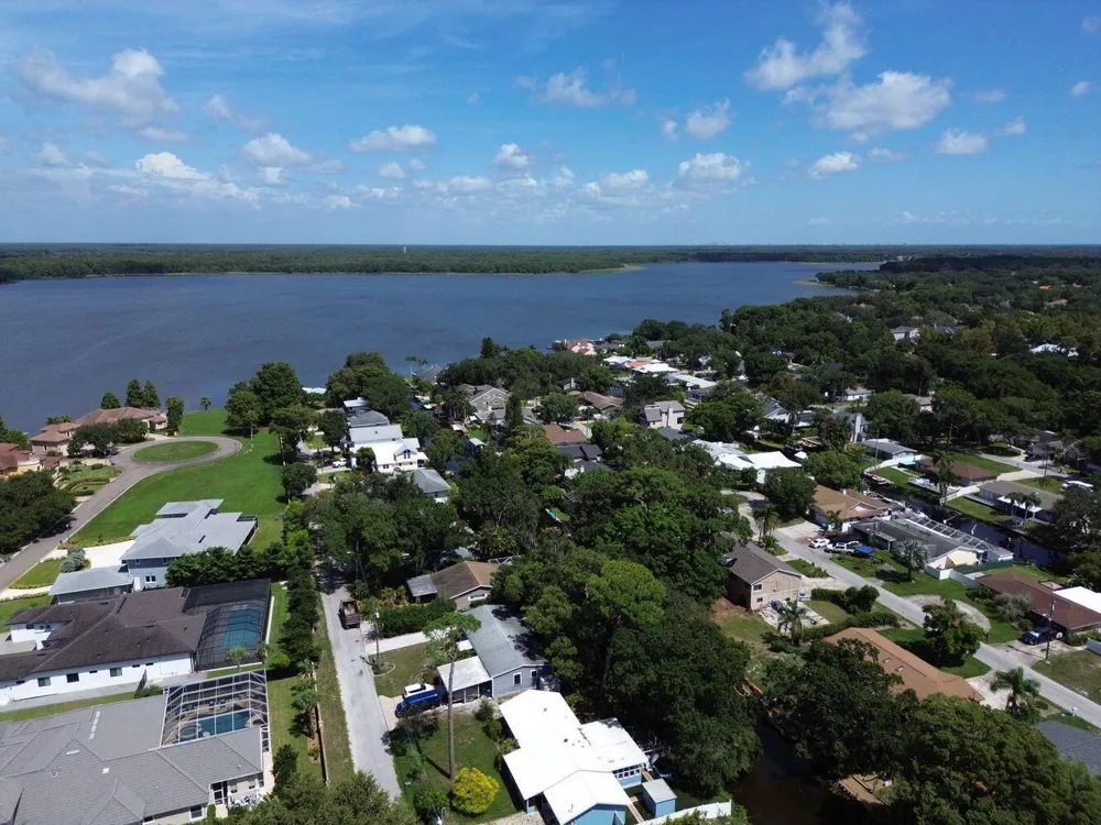 3363 MARION DRIVE Palm Harbor, FL 34684
